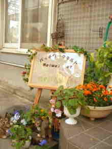 �p�b�`���[�N�L���g